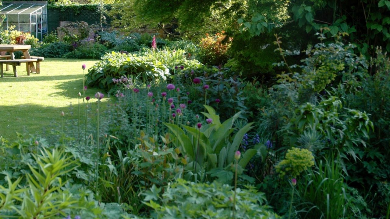 Donnybrook Town Garden - Mount Venus Nursery