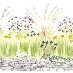 Flurry of Grasses and Perennials