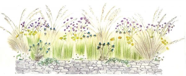 Flurry of Grasses and Perennials
