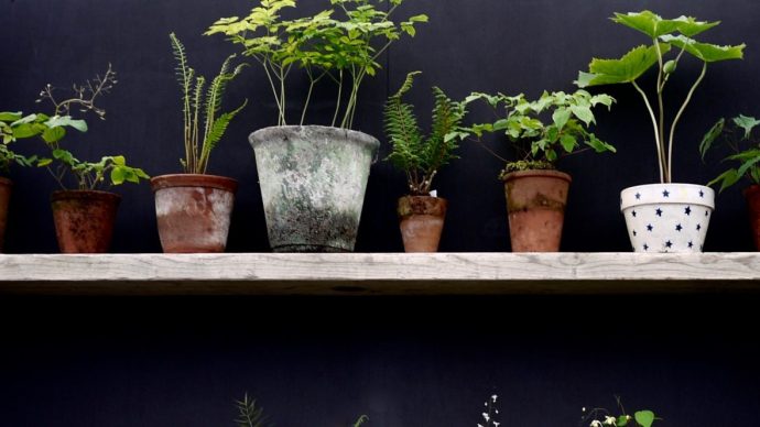 Sustainable gardening in pots