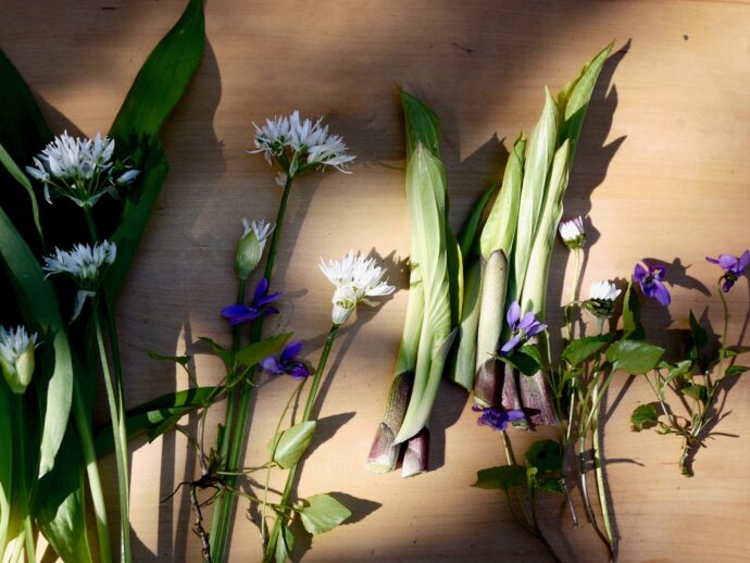 Edible ornamentals