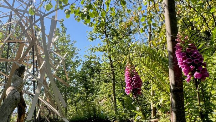 Home - Mount Venus Nursery